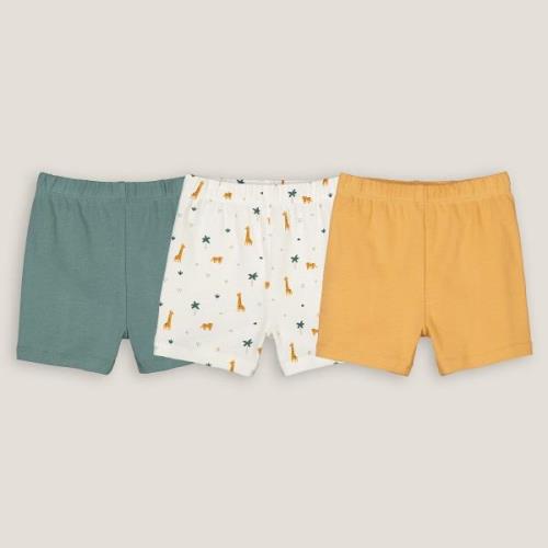 Lote de 3 pantalones cortos de algodón