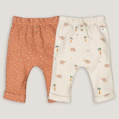 Lote de 2 pantalones tipo saroual estampados