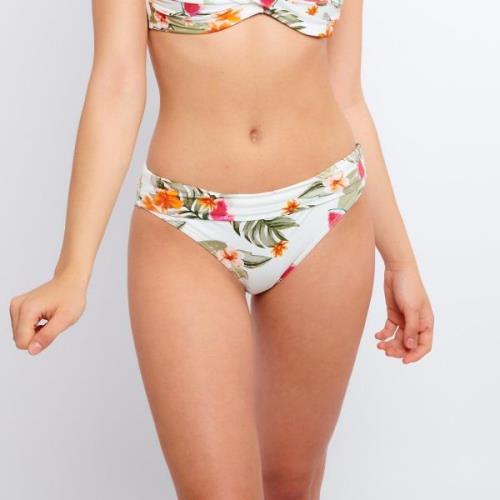 Braguita de bikini Merenda Palmrose